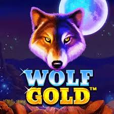 마법의 세계, Wolf Gold